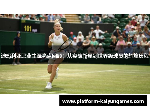 迪玛利亚职业生涯亮点回顾:从突破新星到世界级球员的辉煌历程 迪玛利亚职业生涯亮点回顾:从突破新星到世界级球员的辉煌历程